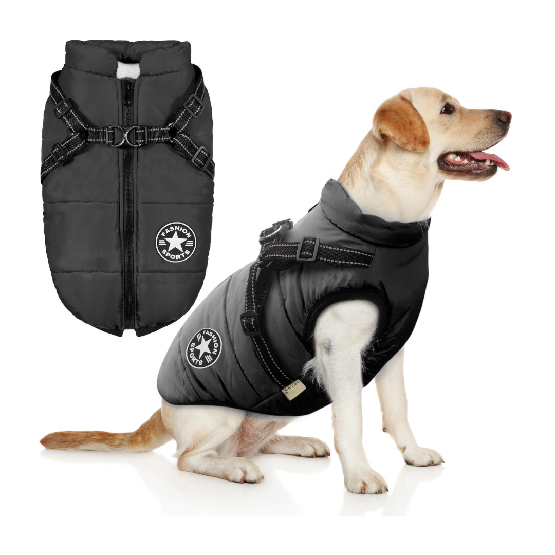 Waterproof Dog Jacket